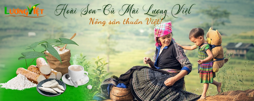 Hoài Sơn - Củ Mài Lương Việt